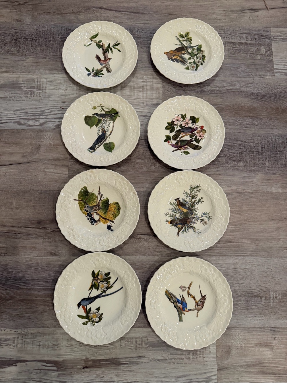 Alfred Meakin BIRDS OF AMERICA Set of 8 Vintage Plates